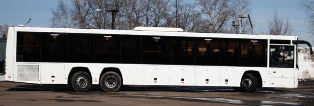 Buss GOLAZ 5251, 6228: spesifikasjoner og bilder