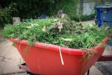 Hvordan bli kvitt den slimete i hagen: tips til gartnere