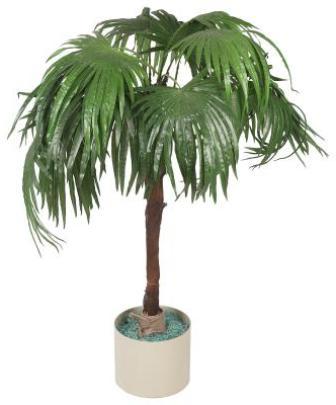 hvordan å ta vare på et palme