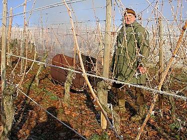 Forberedelse av druer til vinter i uralen: hva skal man gjøre for å forhindre at vintreet blir fryst