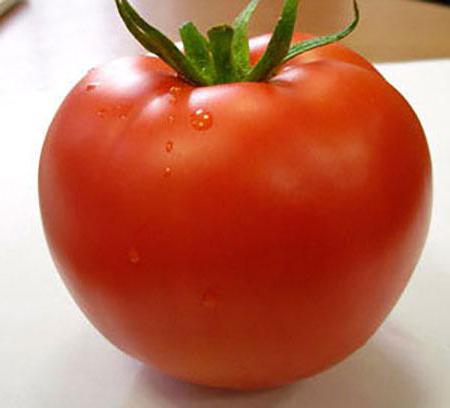 Tomat Linda: En beskrivelse av to arter med samme navn
