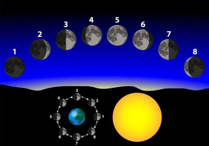 Prediktive astrologi transitt