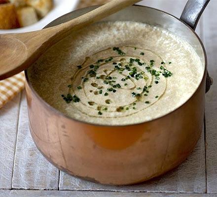 Champignon krem ​​suppe med krem: oppskrifter