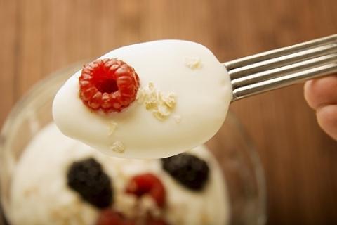 Den riktige forberedelsen av yoghurt i yogurtnitsa