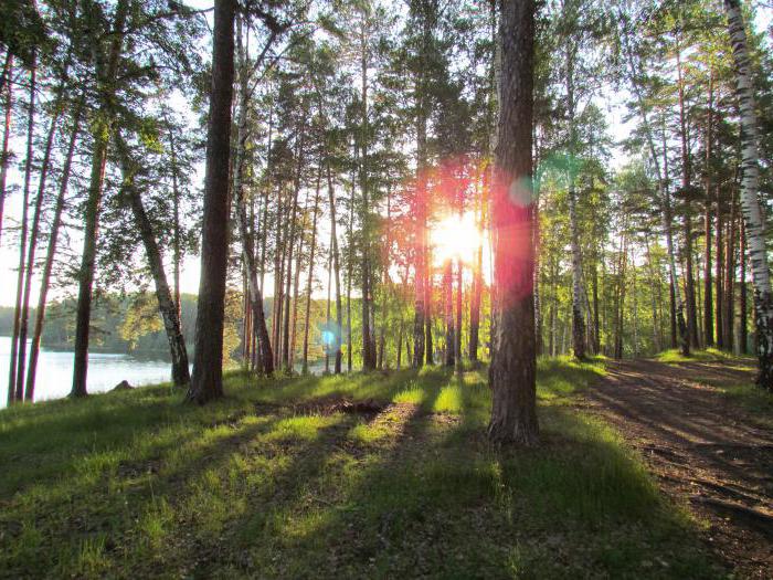 "Baltym-Park" - et boligkompleks