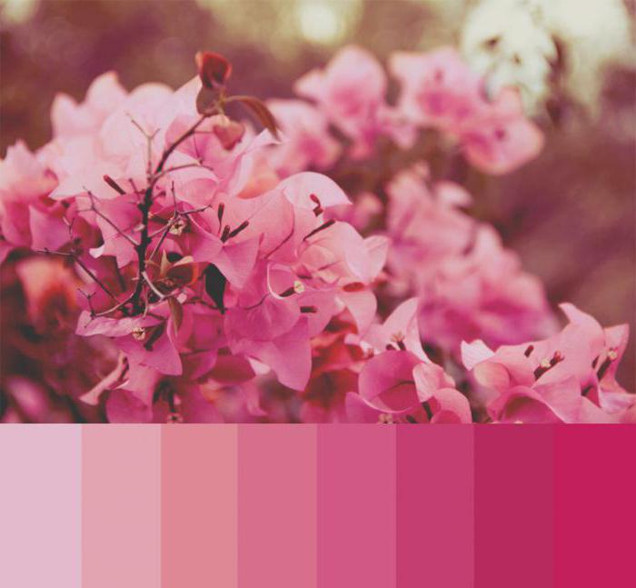 kombinasjon av rosa med andre farger