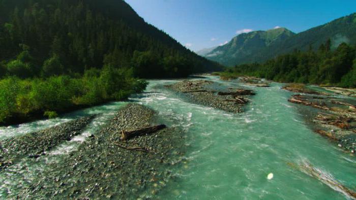 Caucasian State Biosphere Nature Reserve