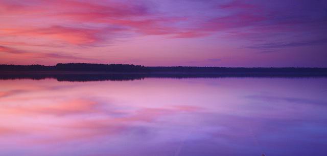 Wilde Lake