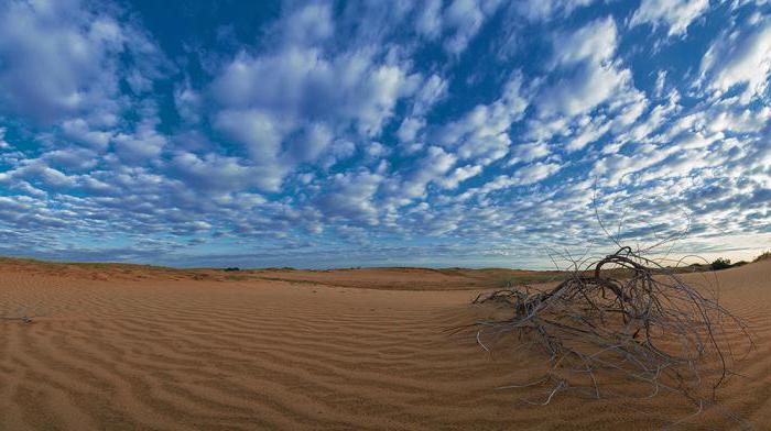 Mystisk ørken Alyoshkovskie sand nær Kherson (Ukraina)