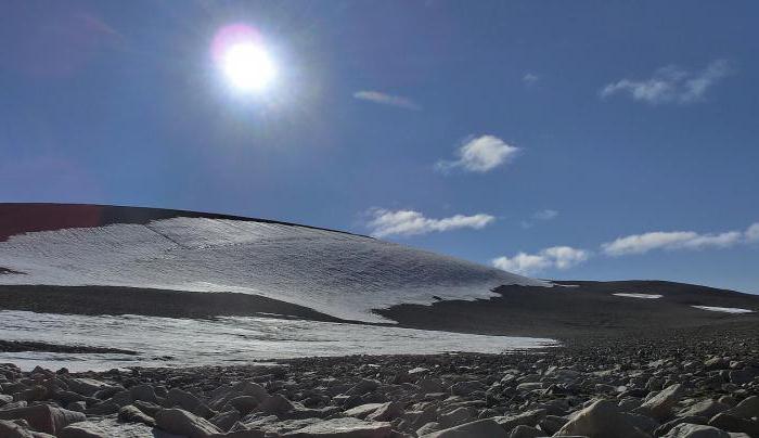 Arktisk belte: karakteristisk, natur. Arktisk klimasone