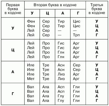 genetisk kode for RNA