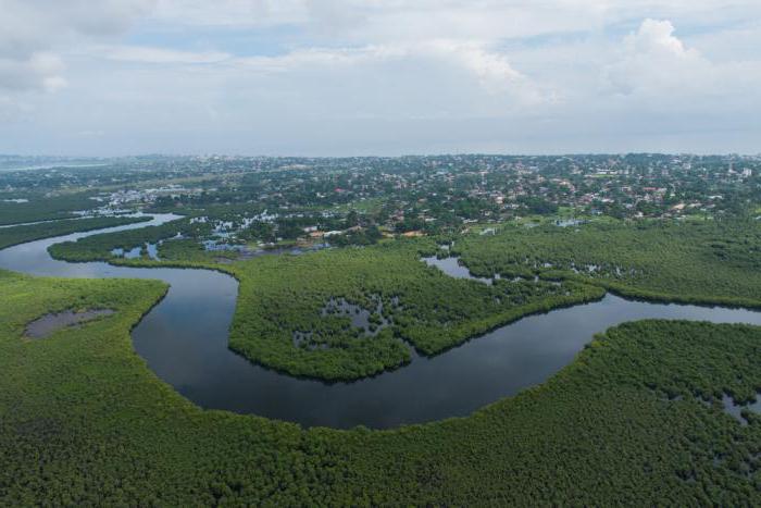 ebolafloden i Kongo