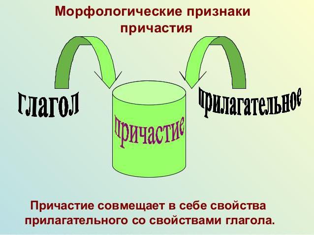 reglene for den russiske språket participle og gerund