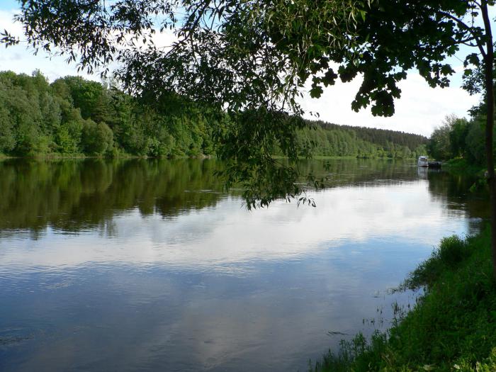 Neman river