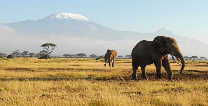 Funksjoner av Afrikas geografiske beliggenhet og natur. Hvordan er Afrikas kontinent relativt andre kontinenter?