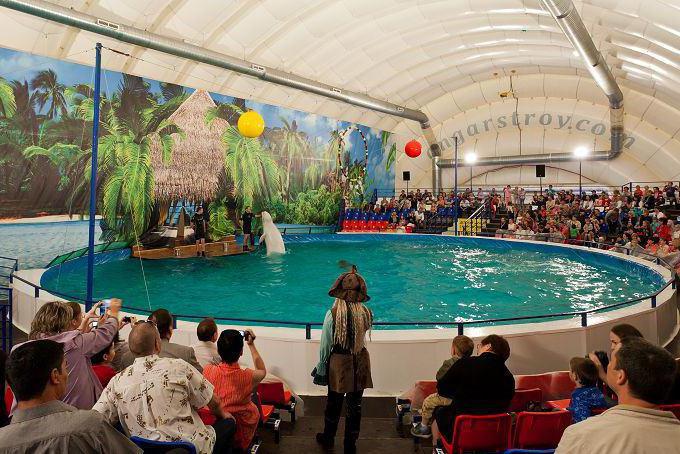 Dolphinarium adresse