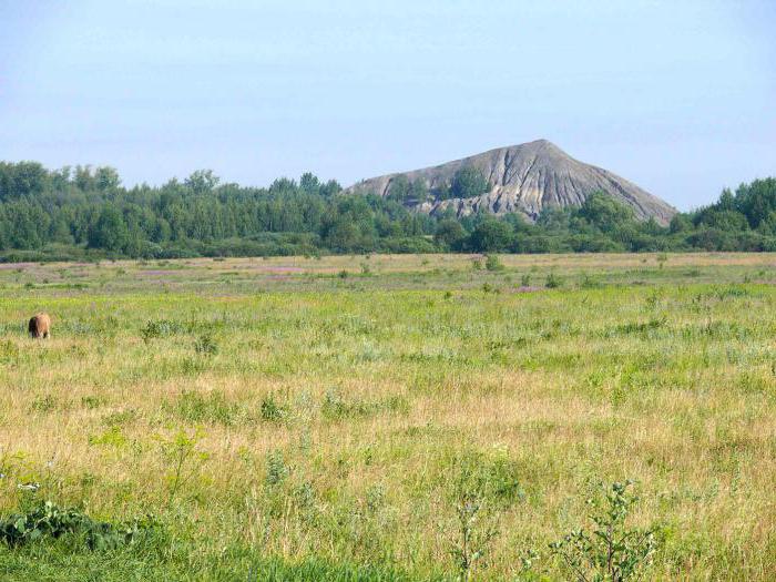 Bogoroditsk Tula Region foto