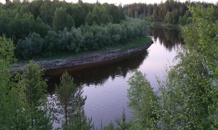 Statens naturreservat Upper Taz