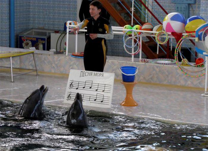 Karadag dolphinarium: beskrivelse og anmeldelser av turister