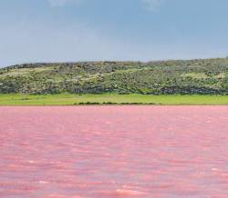 Raspberry Lake (Altai Territory). Hemmeligheten av unikhet