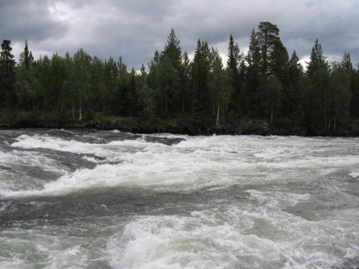 rafting på umba elva