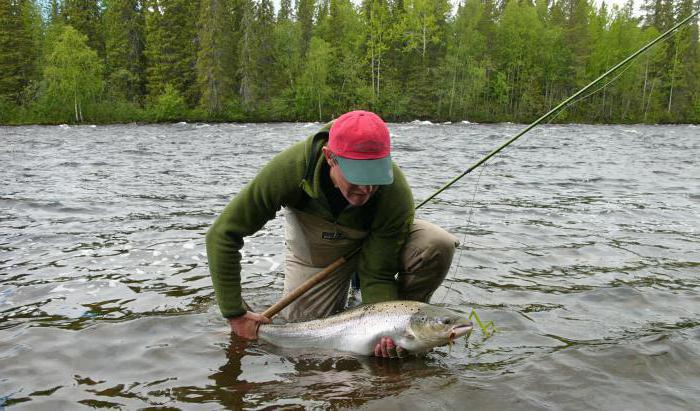 Umba-elven i Murmansk-regionen