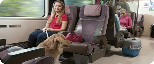 Går på ferie: Regler for transport av dyr på toget