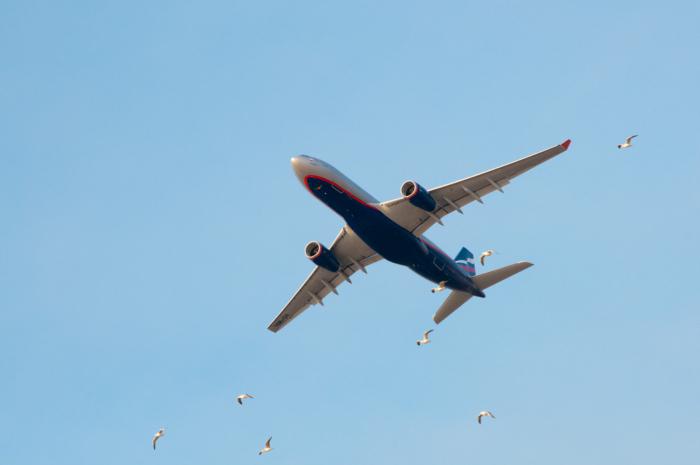 refusjon av Aeroflot billett