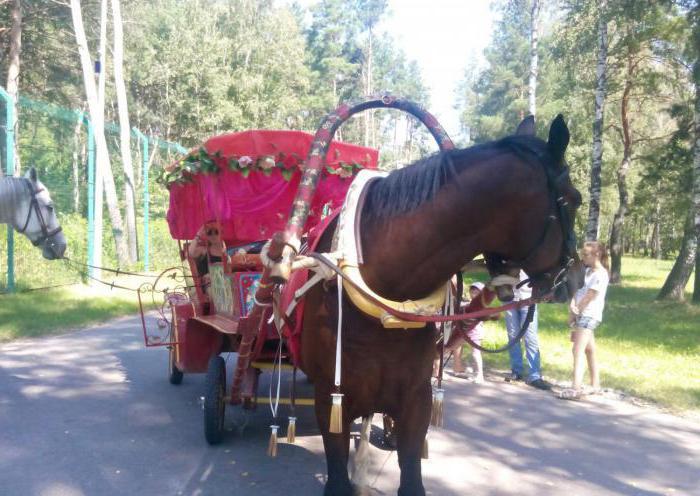 Zoo Belgorod Sosnovka