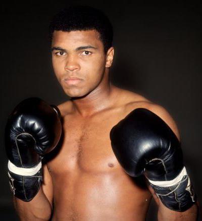 muhammad ali statistikk av kampene i hele historien