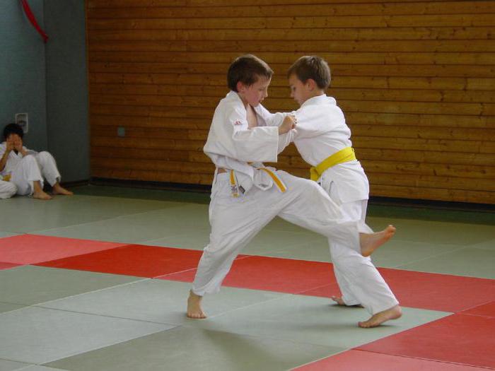 Hva er forskjellen mellom judo og sambo?