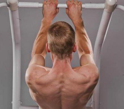 Pull-ups på den horisontale linjen: 3 typer