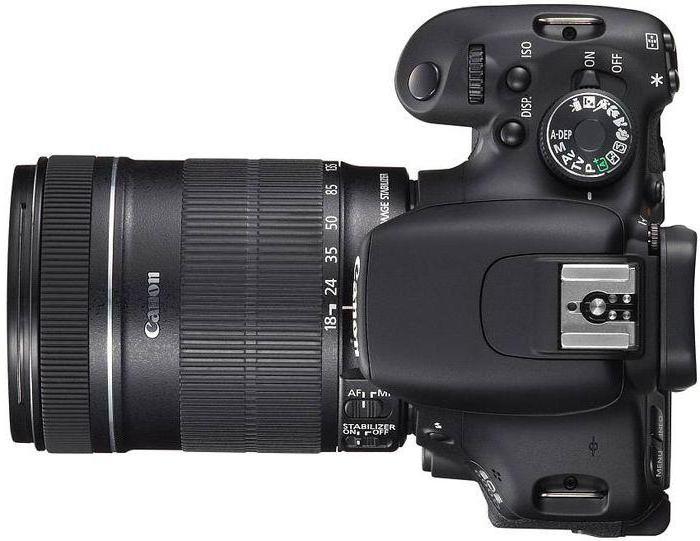 Nikon D600 Canon 
