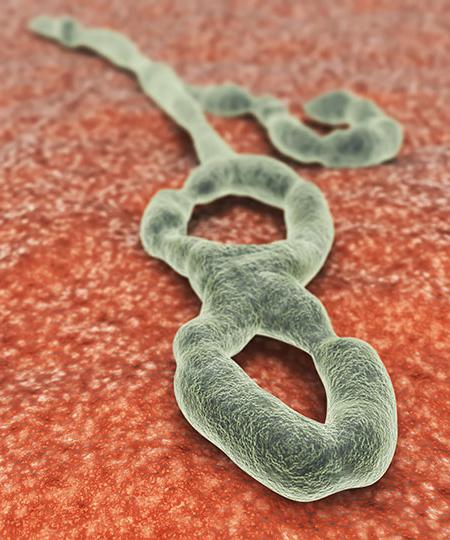 Ebola inkubasjonsperiode