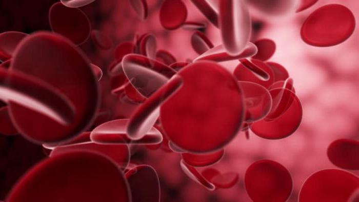 Forhøyede røde blodlegemer og leukocytter i urinen: årsaker