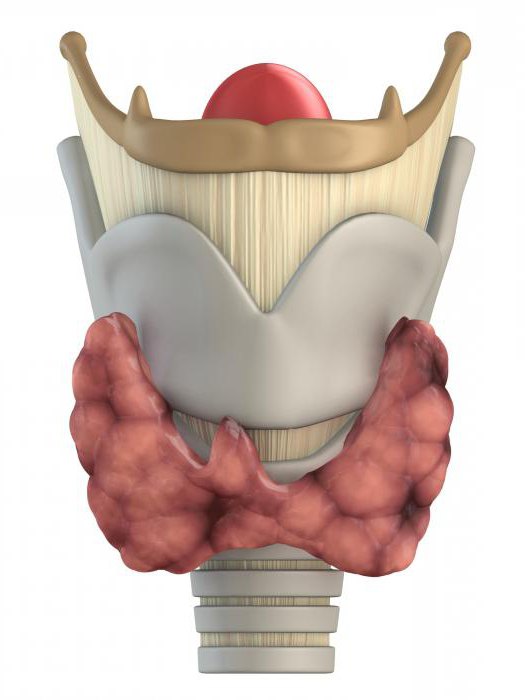 tiamazol instruksjonspris 